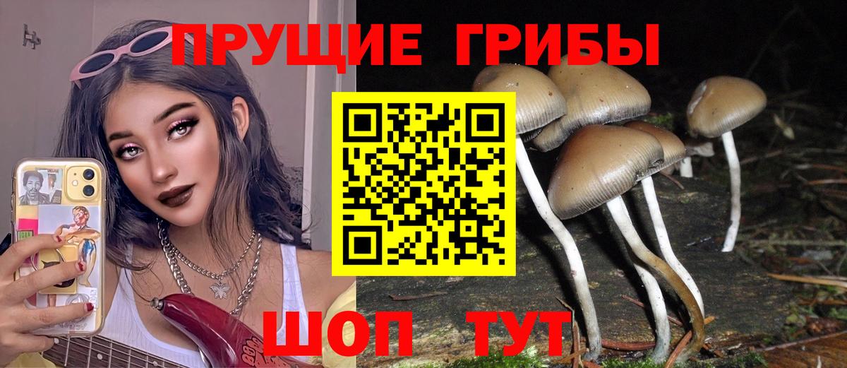 Галлюциногенные грибы Cubensis Нижний Тагил