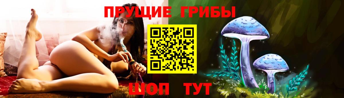 закладки  Вход с VPN  Нижний Тагил  Галлюциногенные грибы GOLDEN TEACHER  Галлюциногенные грибы MAGIC MUSHROOMS 